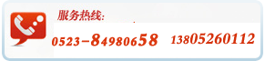 服务热线：0523-84980658